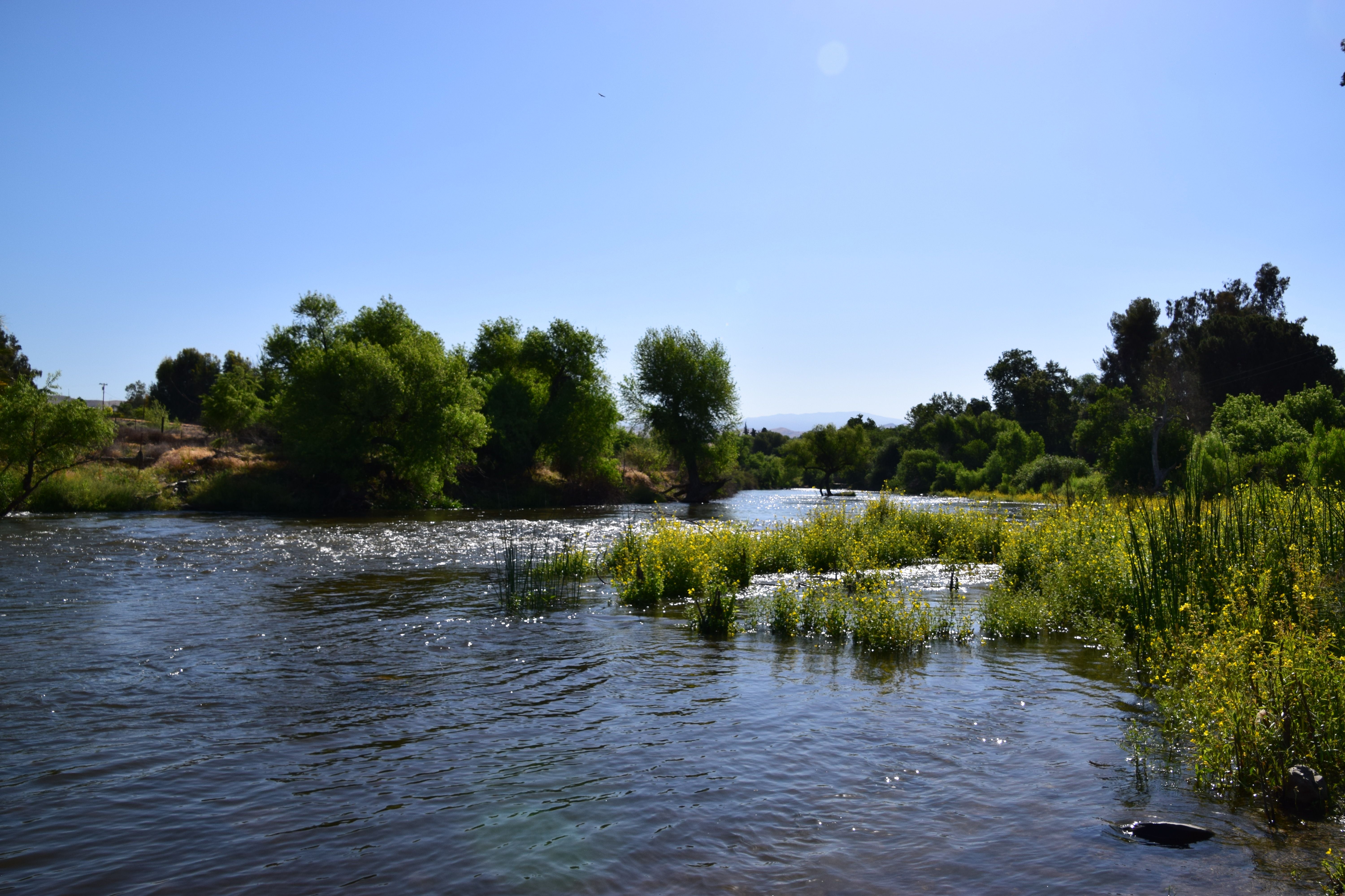 hundreds-of-people-have-died-in-this-california-river