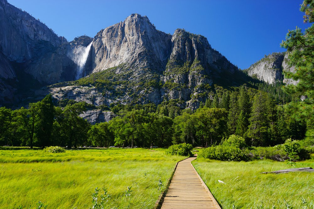 7 U.S. National Parks With The Best Accessible Hiking Trails