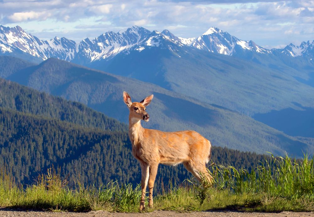 10 Most Beautiful National Parks In The U.S. For 2025