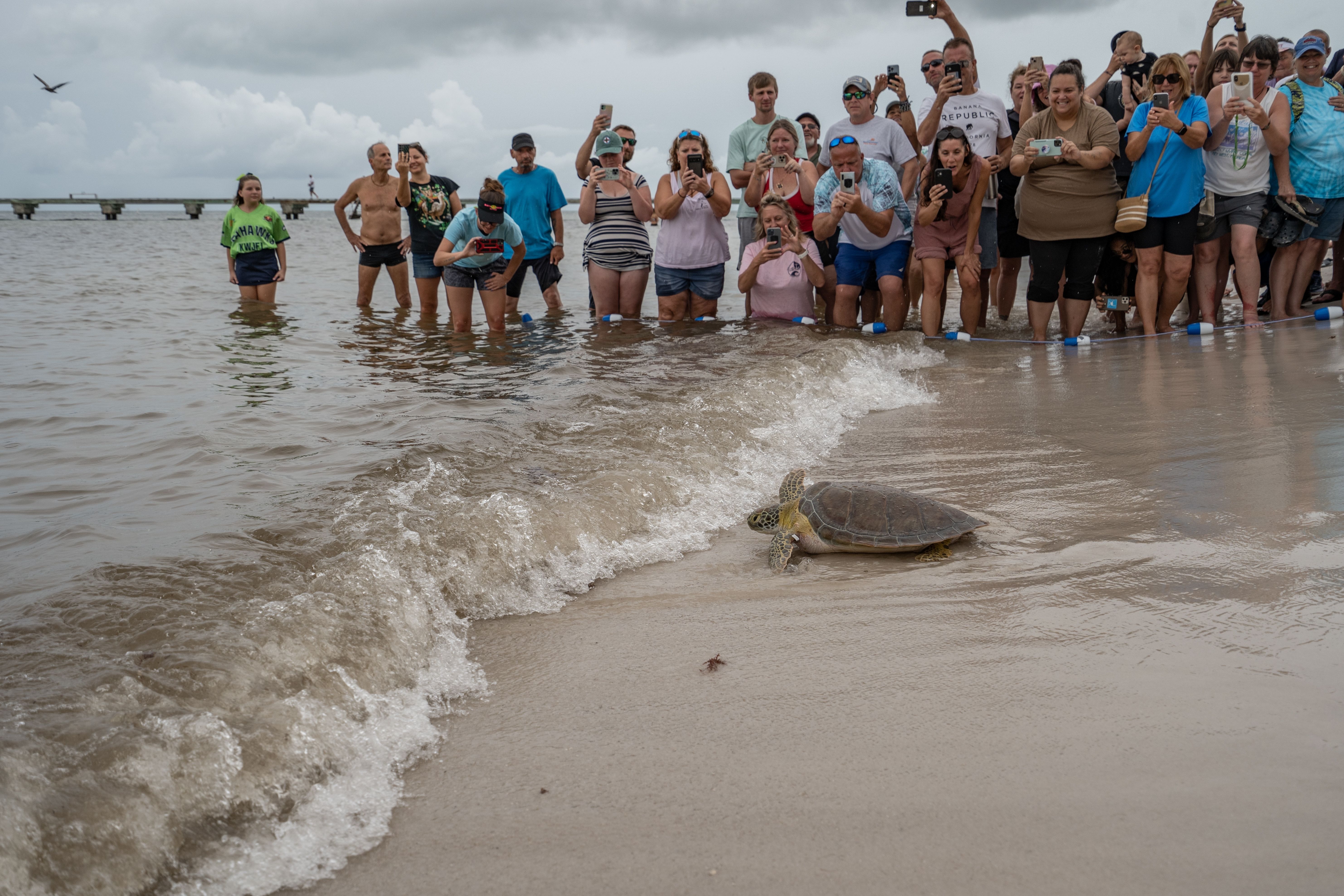 Explore All The Florida Keys On This Day Trip