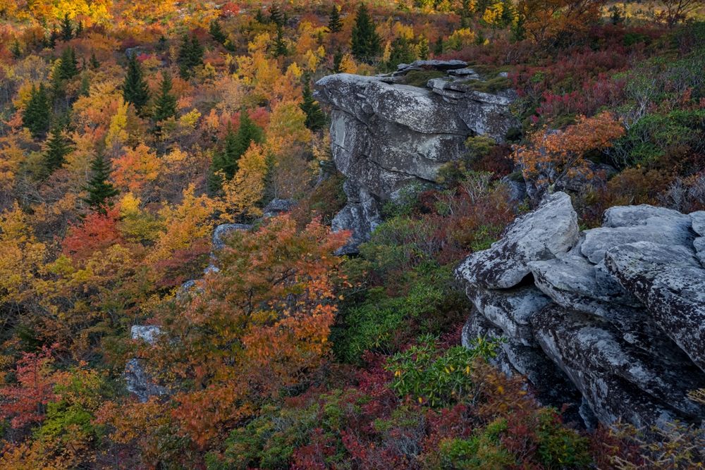 6 Underrated, But Scenic Stops Along The Blue Ridge Parkway