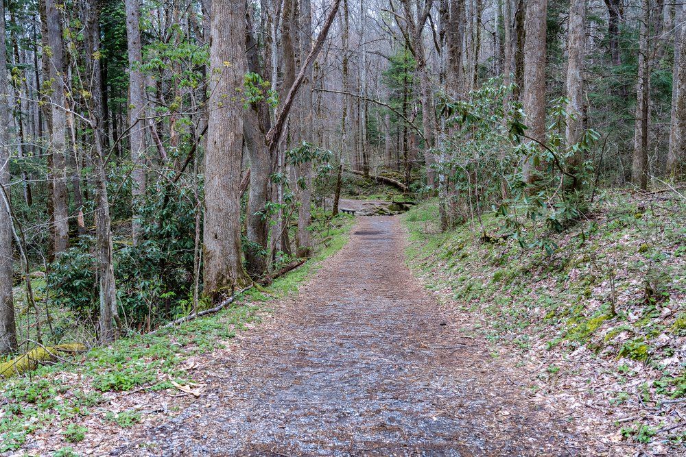 Great Smoky Mountain Hikes: 7 Trails That Lead To Scenic Overlooks
