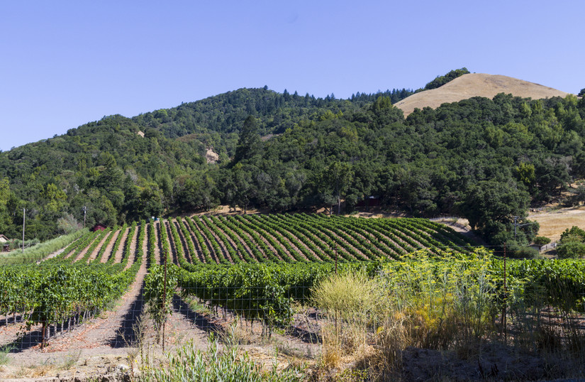 7 Surprisingly Scenic, Bikable Cities In California