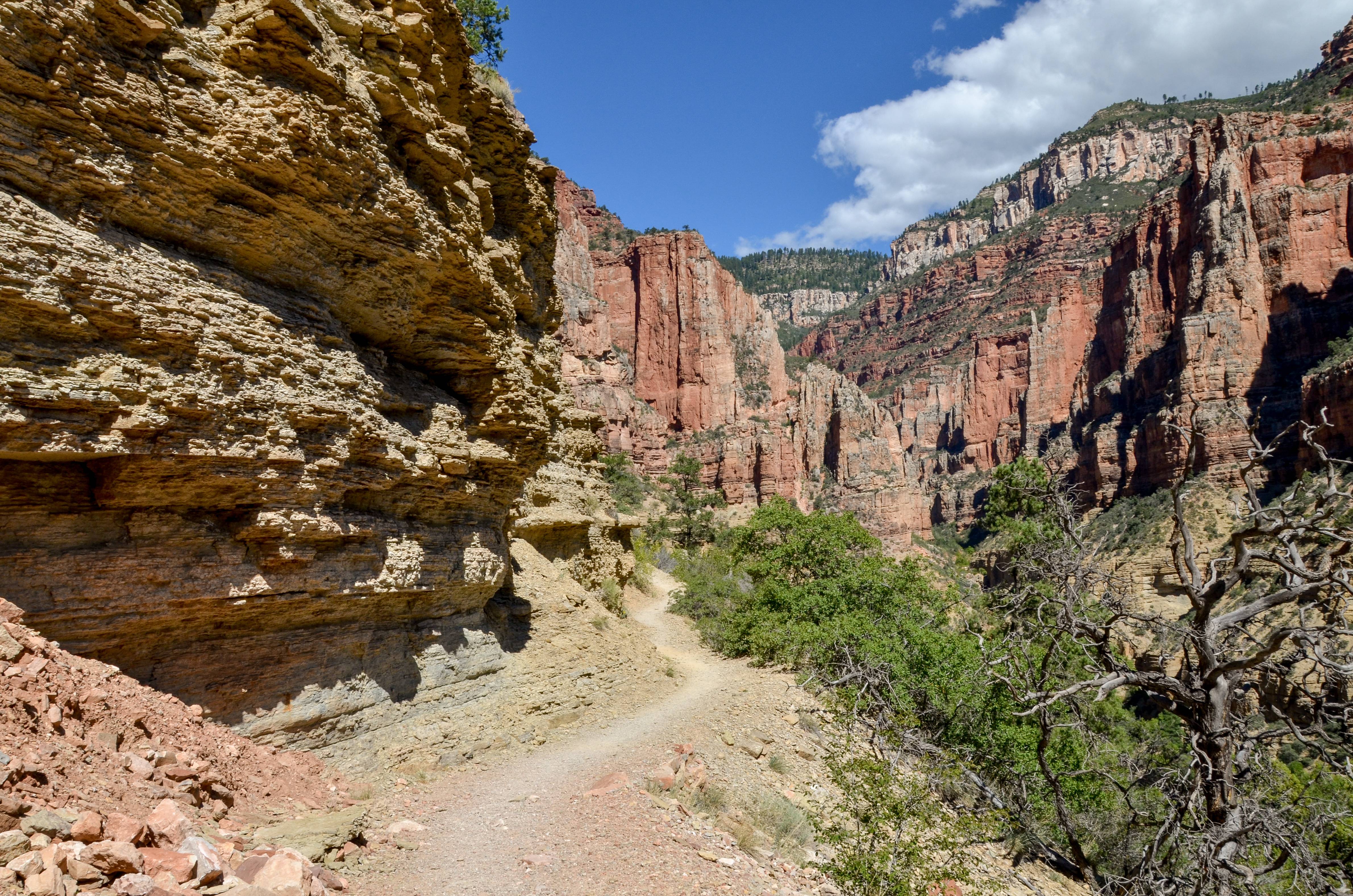 North Rim Spring 7 Best Trails At The Grand Canyon's North Rim