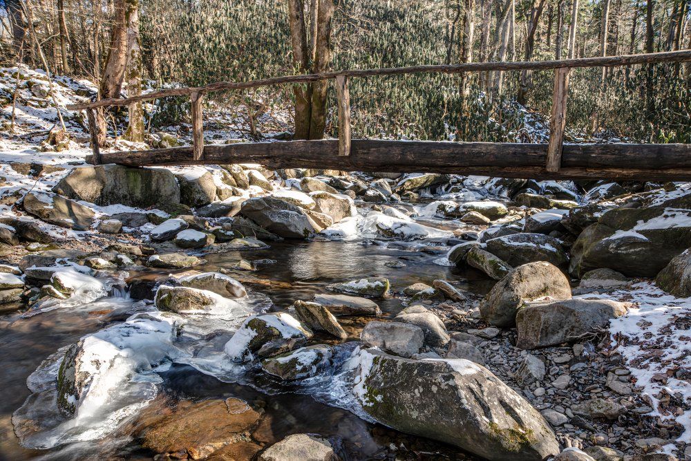 Great Smoky Mountain Hikes: 7 Trails That Lead To Scenic Overlooks