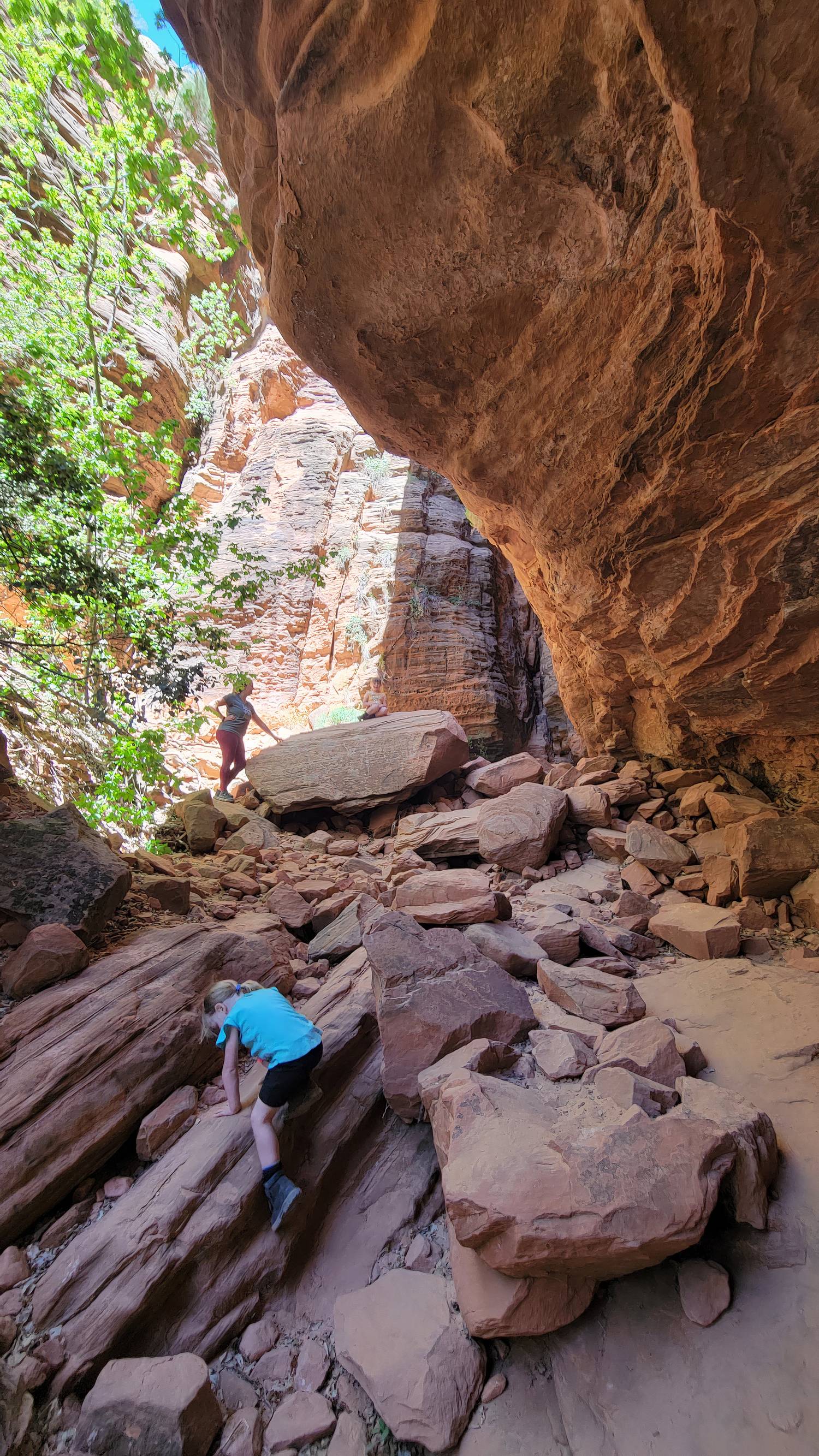 Zion Canyon Overlook Trail, Zion National Park, Utah, USA