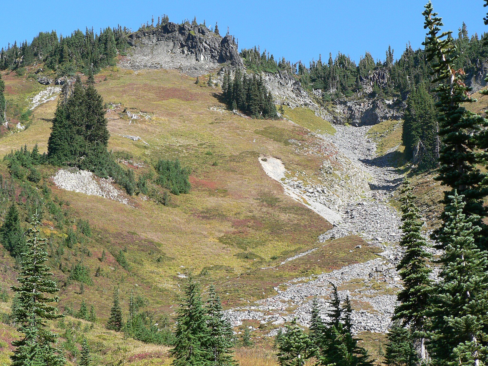 7 Pacific Northwest Hikes Where You Need To Carry Bear Spray