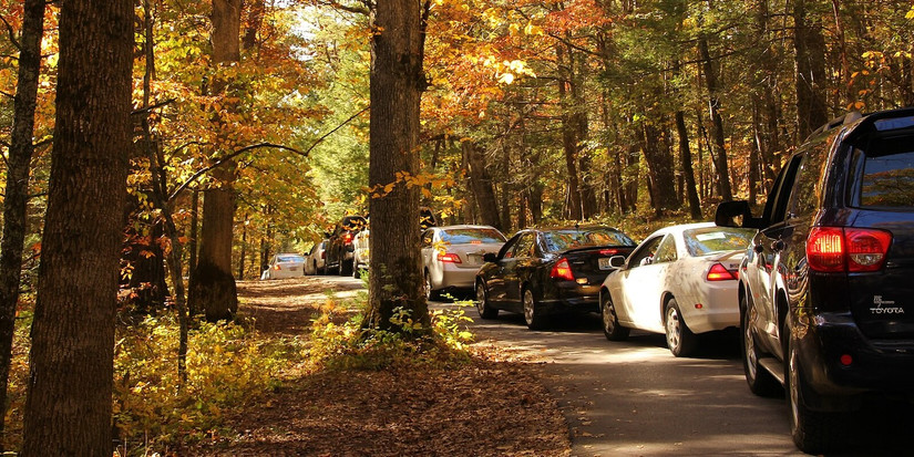 Fall traffic in Cades Cove, one of the most popular spots in the Smoky Mountains 