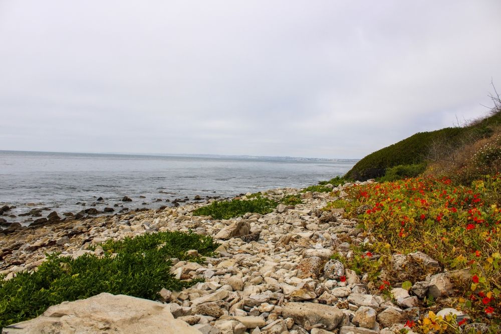 7 Stunning Rocky Beaches To See In California This Summer