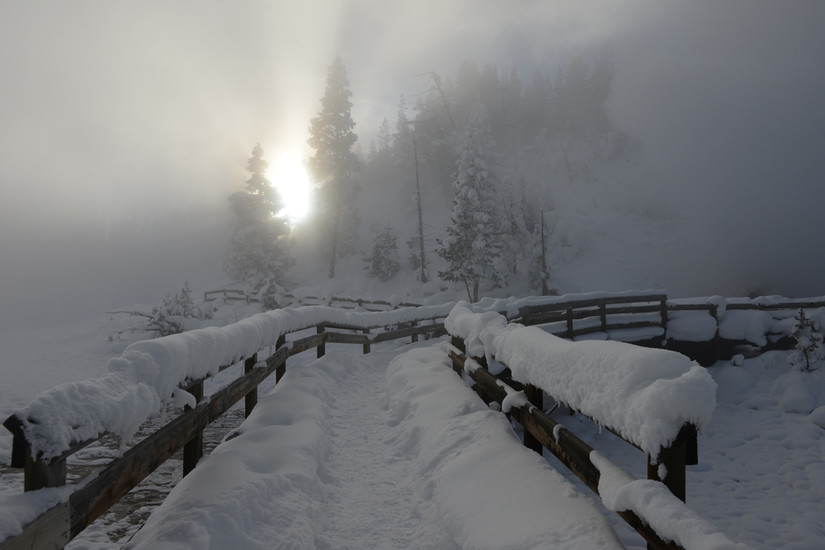 イエローストーン国立公園は早期の雪の懸念からすでに道路閉鎖を発表