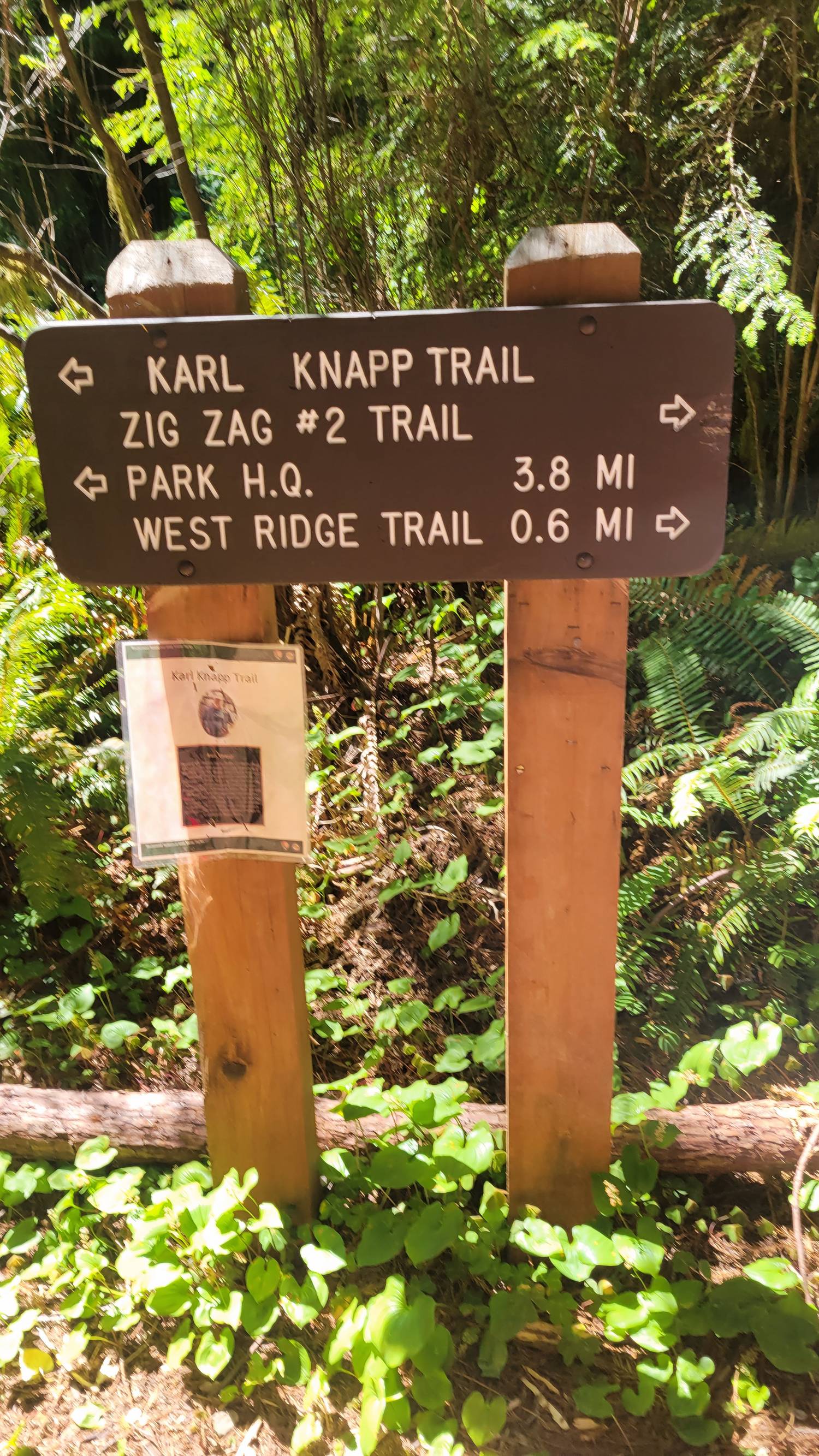 Trail guides in Redwood National and State Parks, California, USA