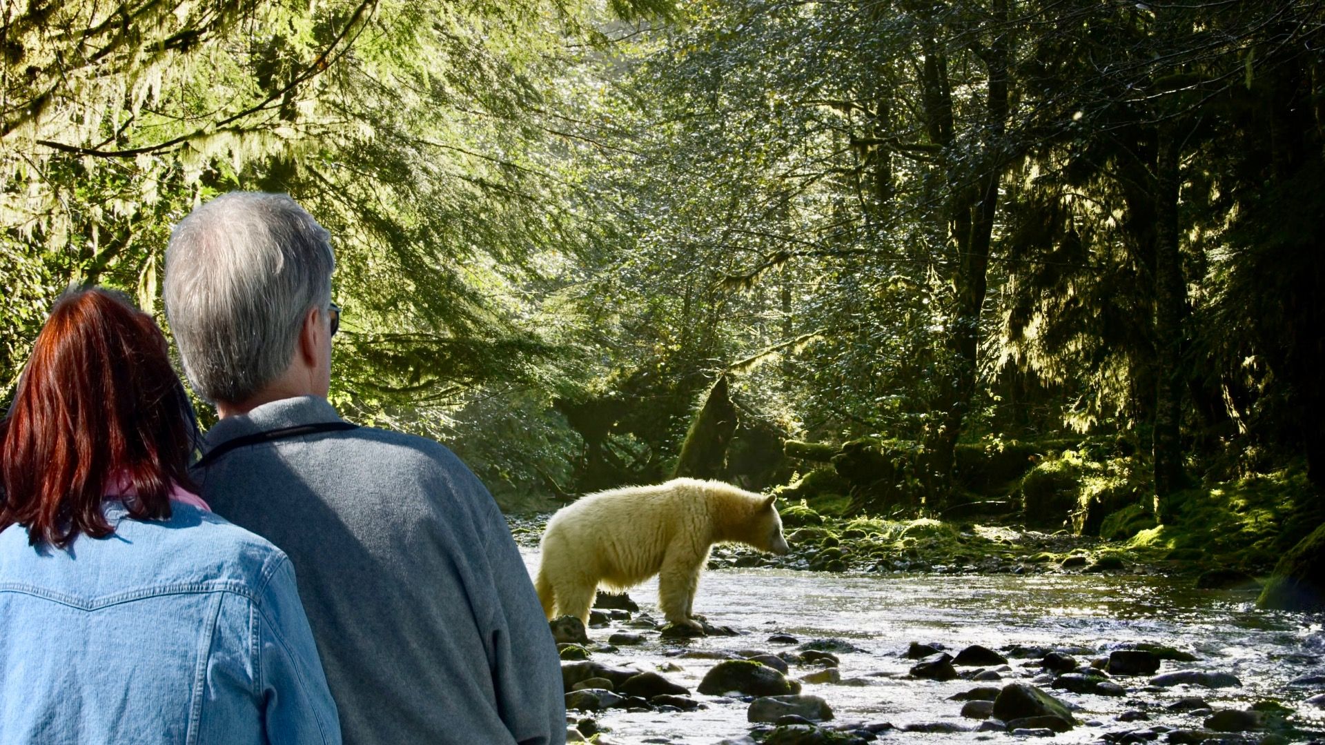 The Truth About Bear Spray: When It Works and When It Doesn’t