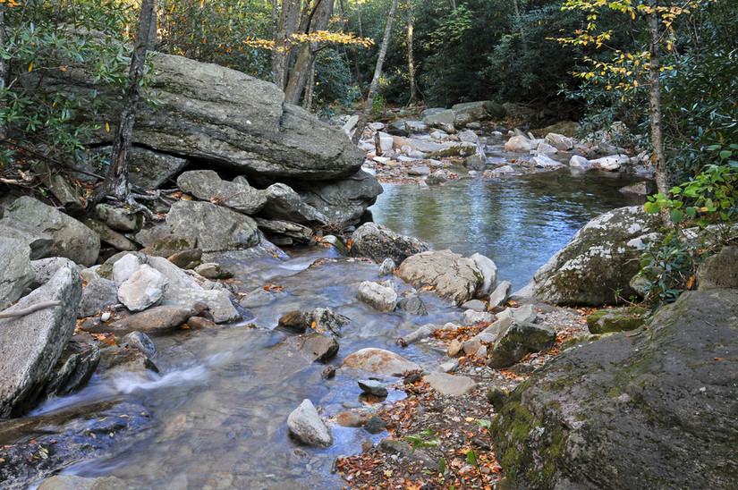 7 Best Hikes In Boone With Asheville Vibes, But Better