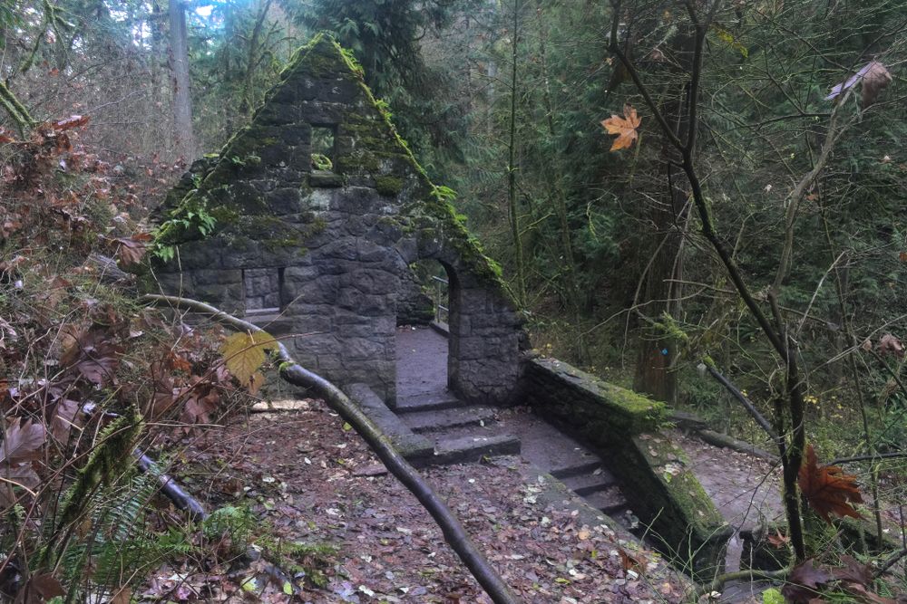 7 Scenic Urban Hikes In Portland, Oregon
