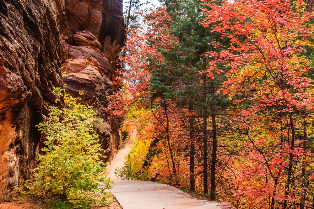 Atah Patha What To Know About Visiting Utah's National Parks In Fall