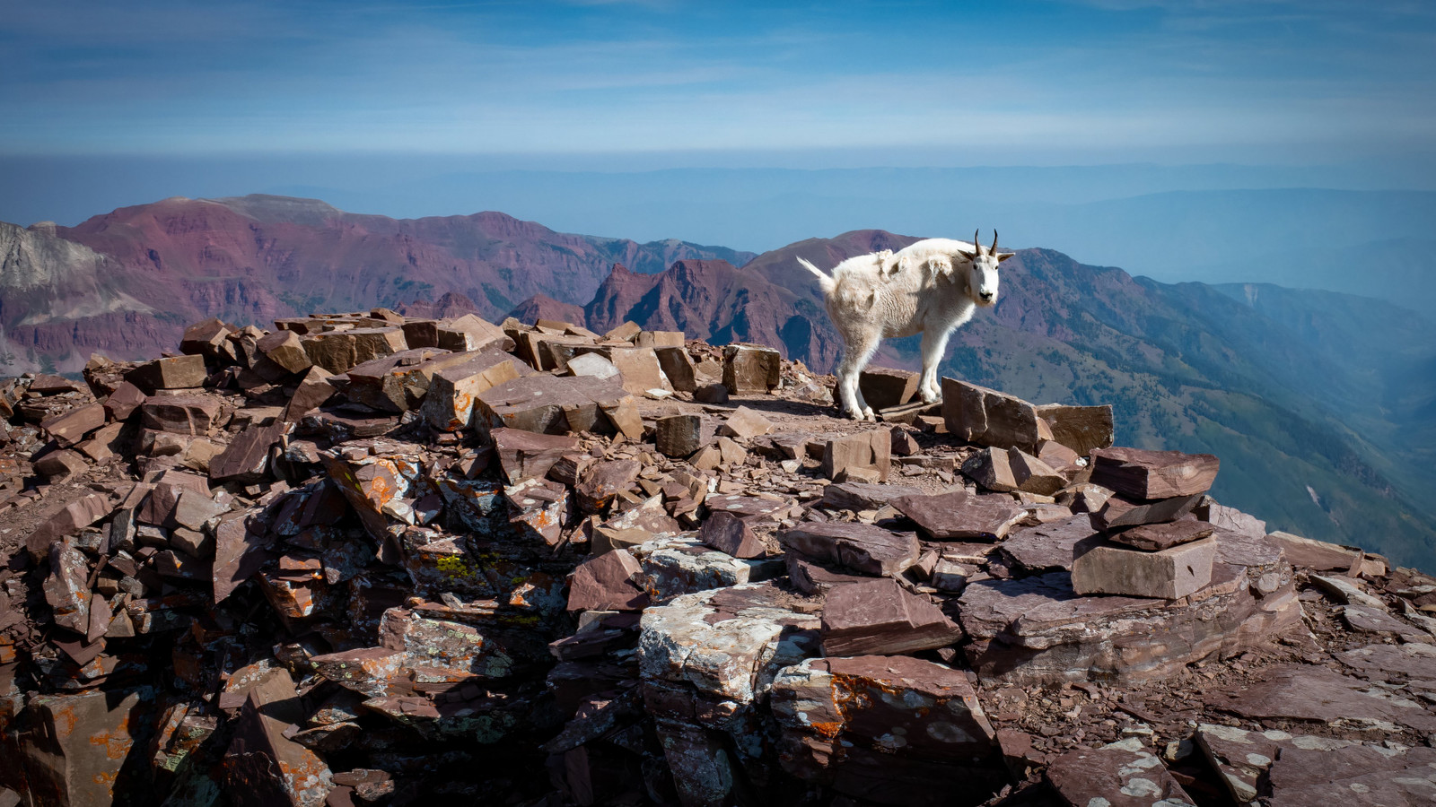 7 Hardest 14ers To Hike In Colorado For Experts Only