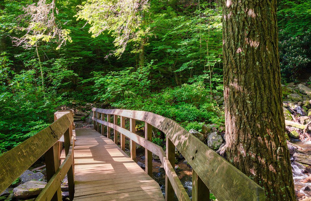 8 Best Blue Ridge Mountains Hikes: 2025 Edition
