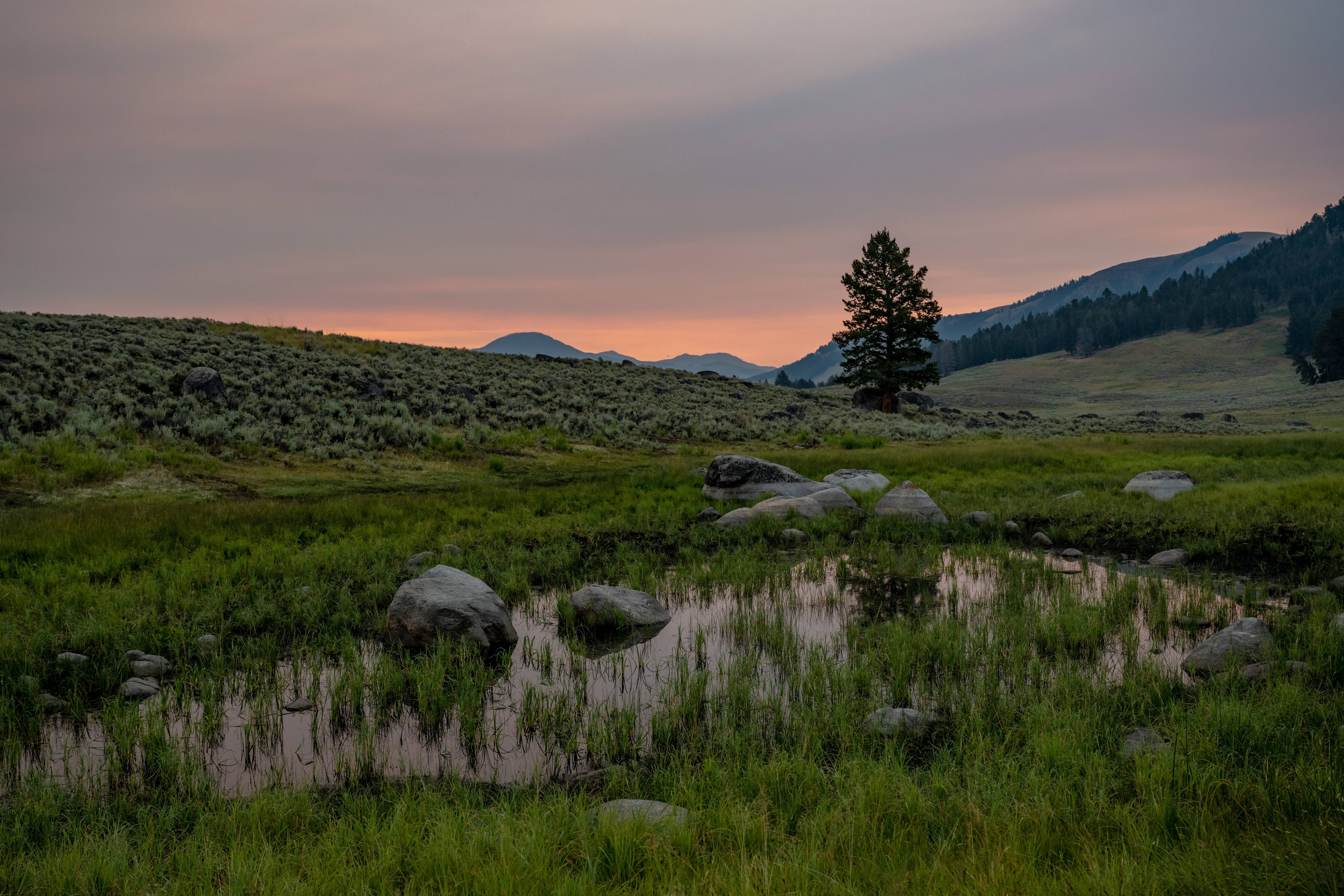 Be Sure To Bring Bear Bells When Hiking On These 7 U.S. Trails