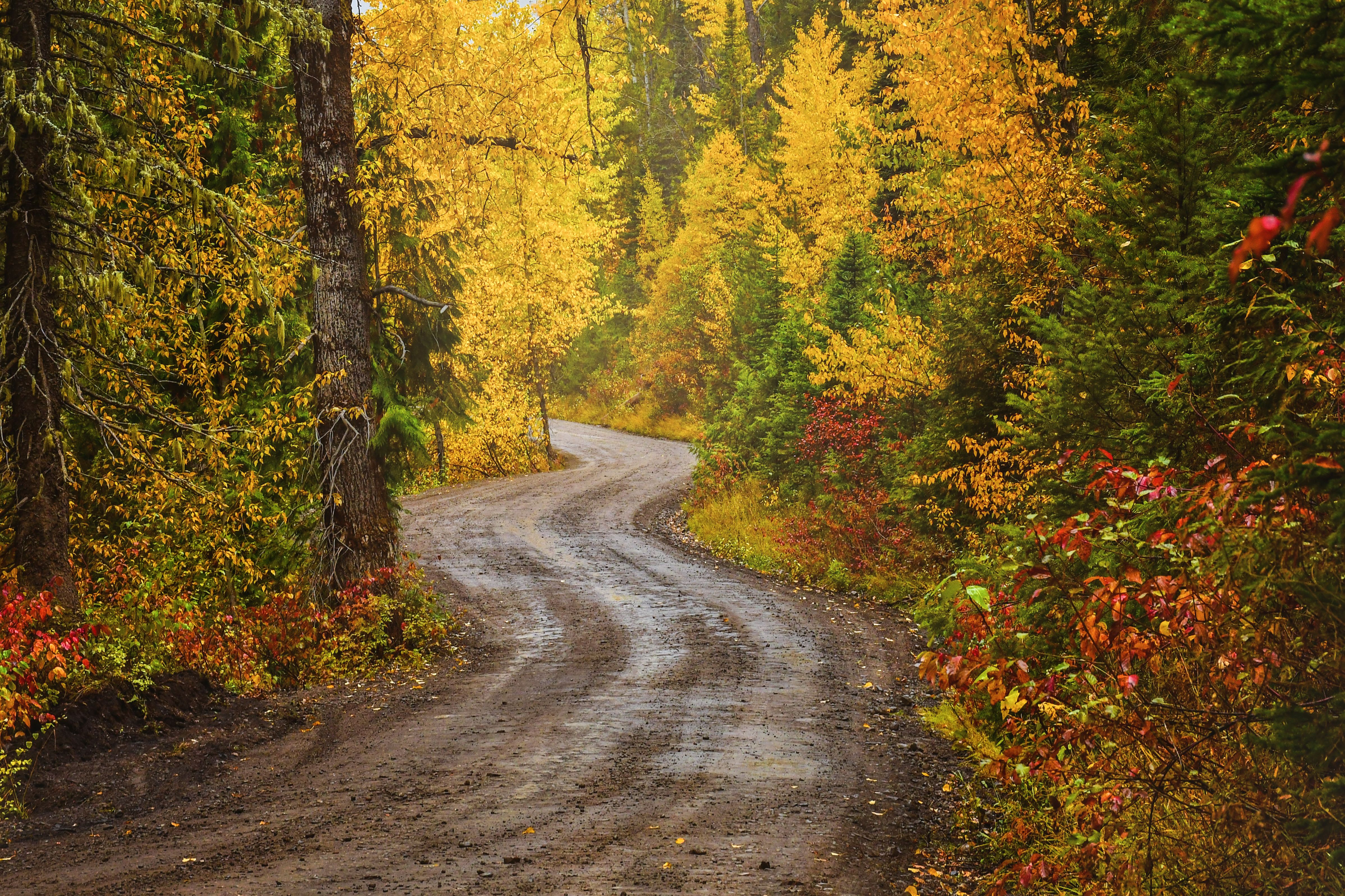 7 Undiscovered Towns In The Rockies