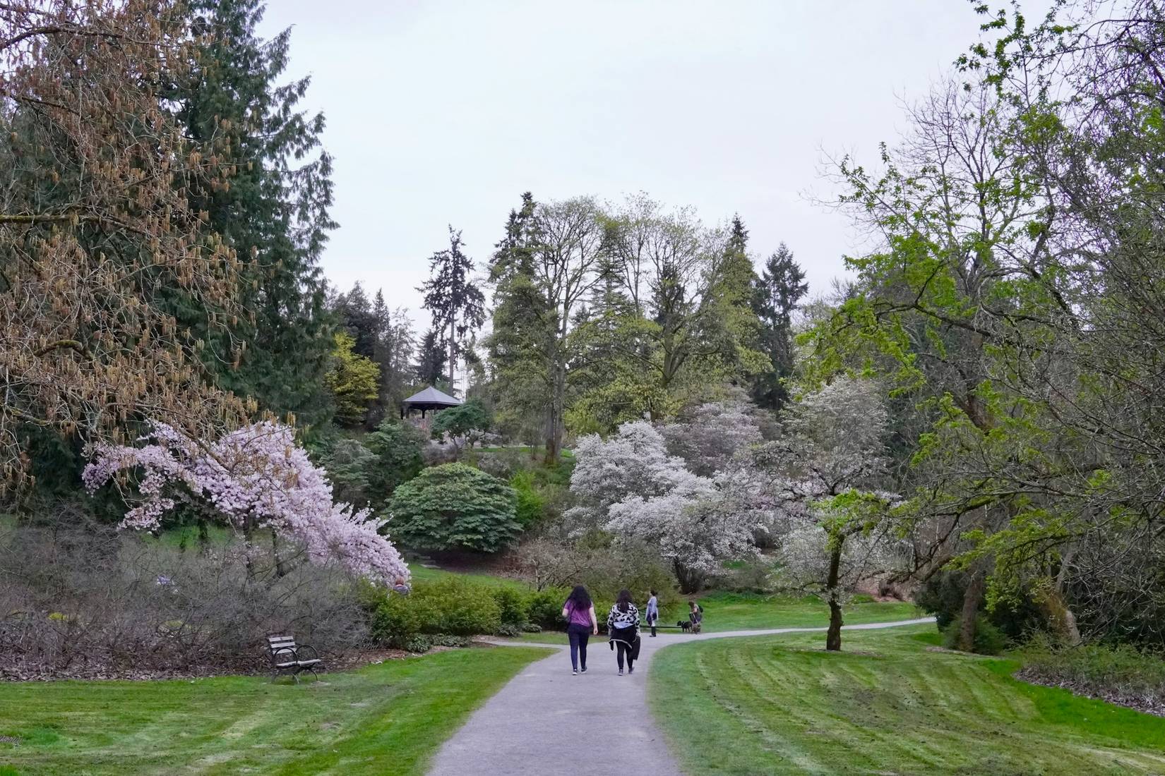 8 Underrated Things To Do In Seattle