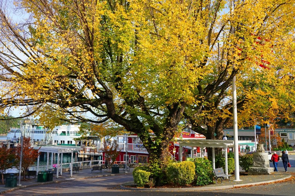 Washington’s Most Beautiful Coastal Town Isn’t Even On The Mainland