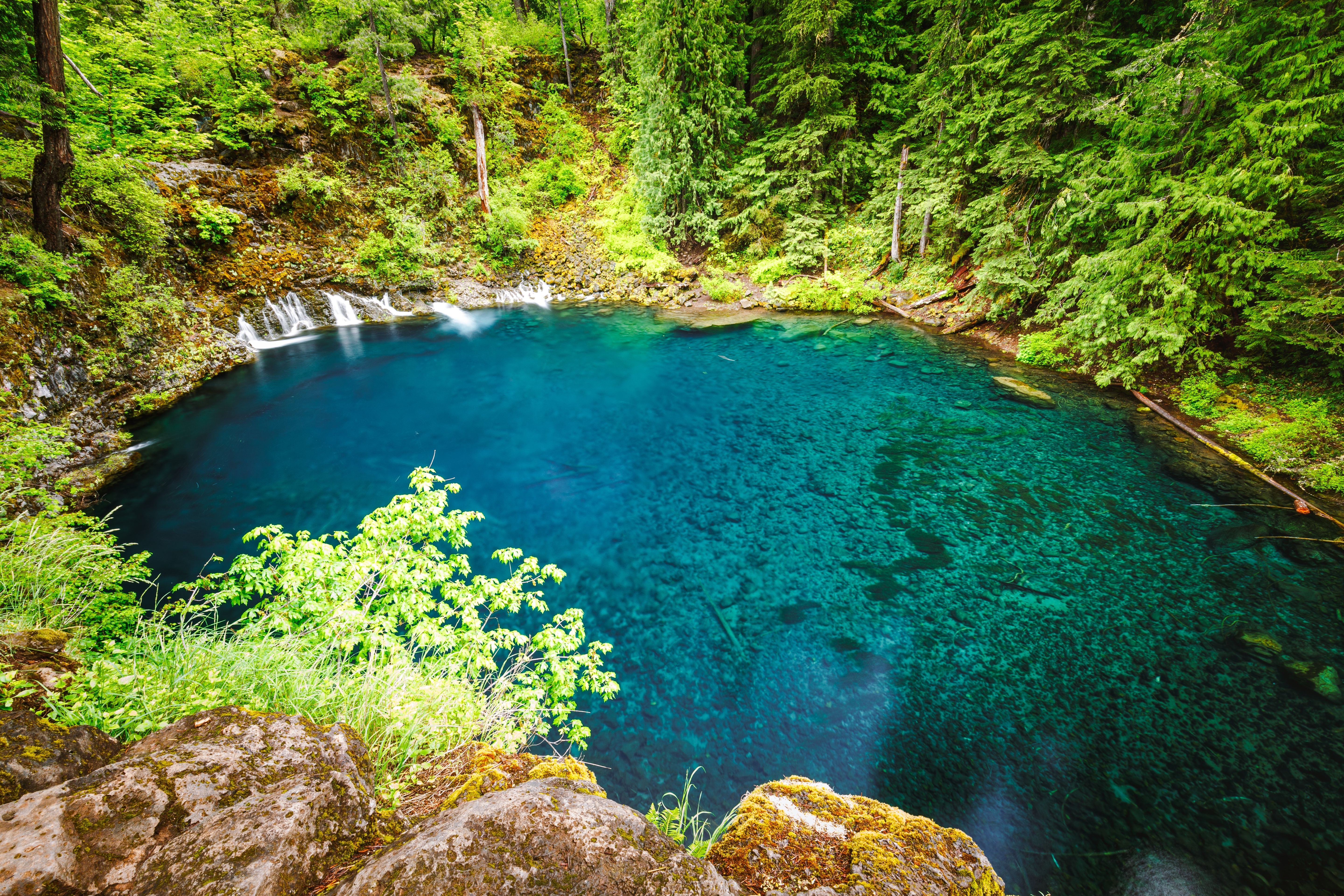 Oregon Hikes Better Than Crater Lake
