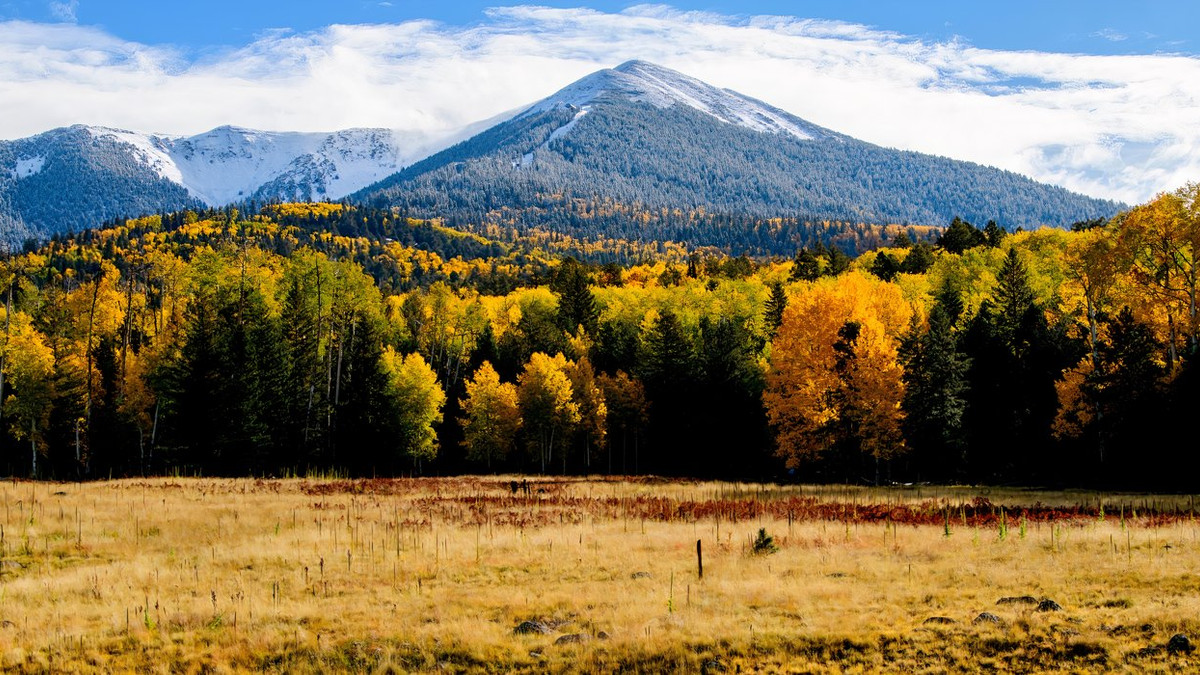 The Surprising Arizona City Where You Can See Epic Fall Colors