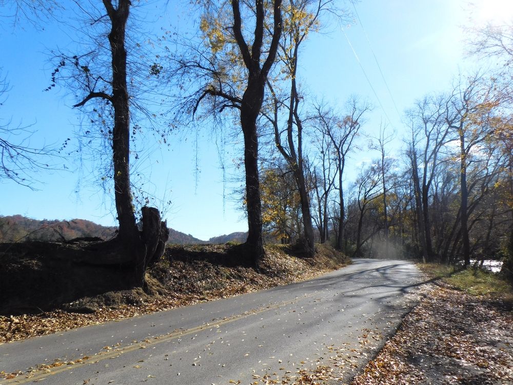 The Best Blue Ridge Mountain Towns In Tennessee For Fall Foliage