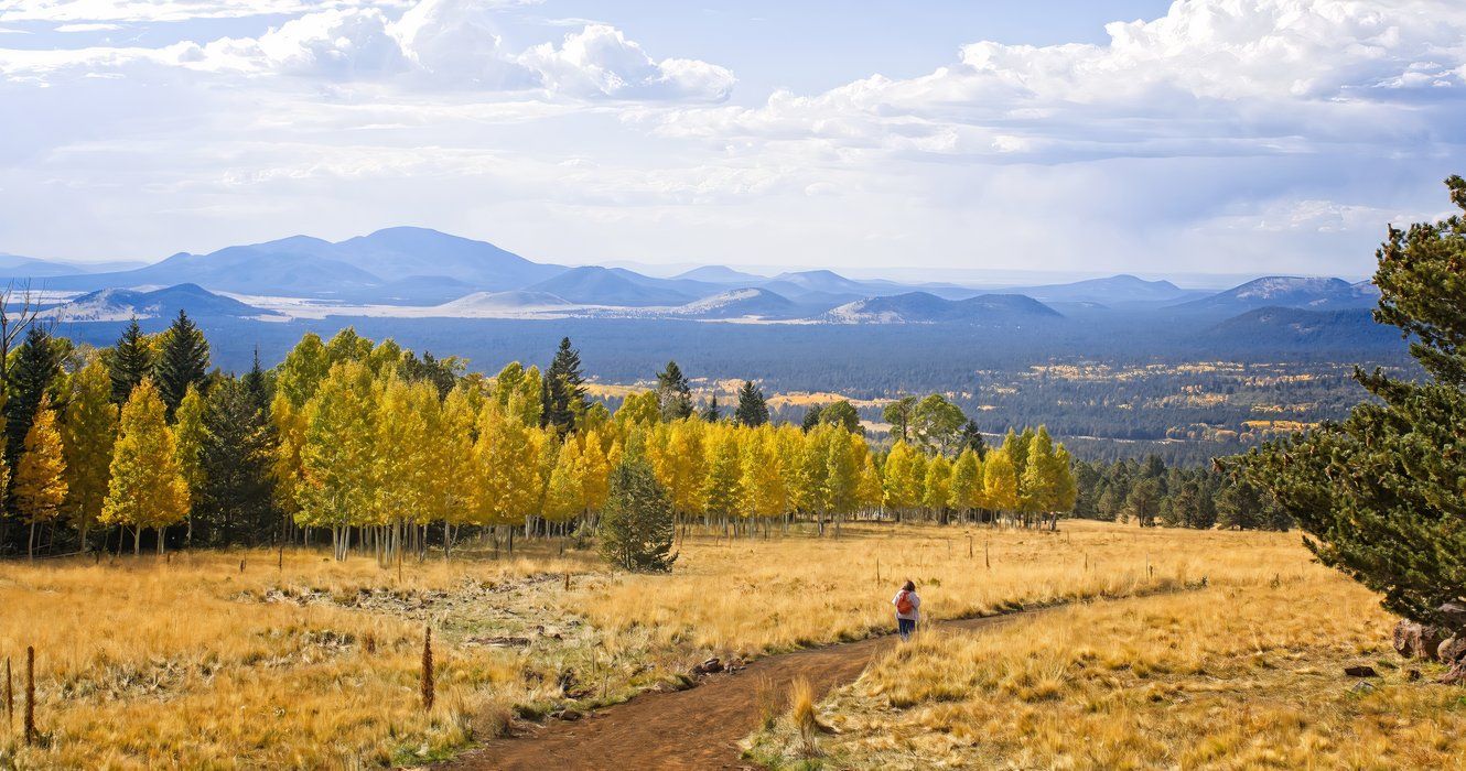 The Surprising Arizona City Where You Can See Epic Fall Colors
