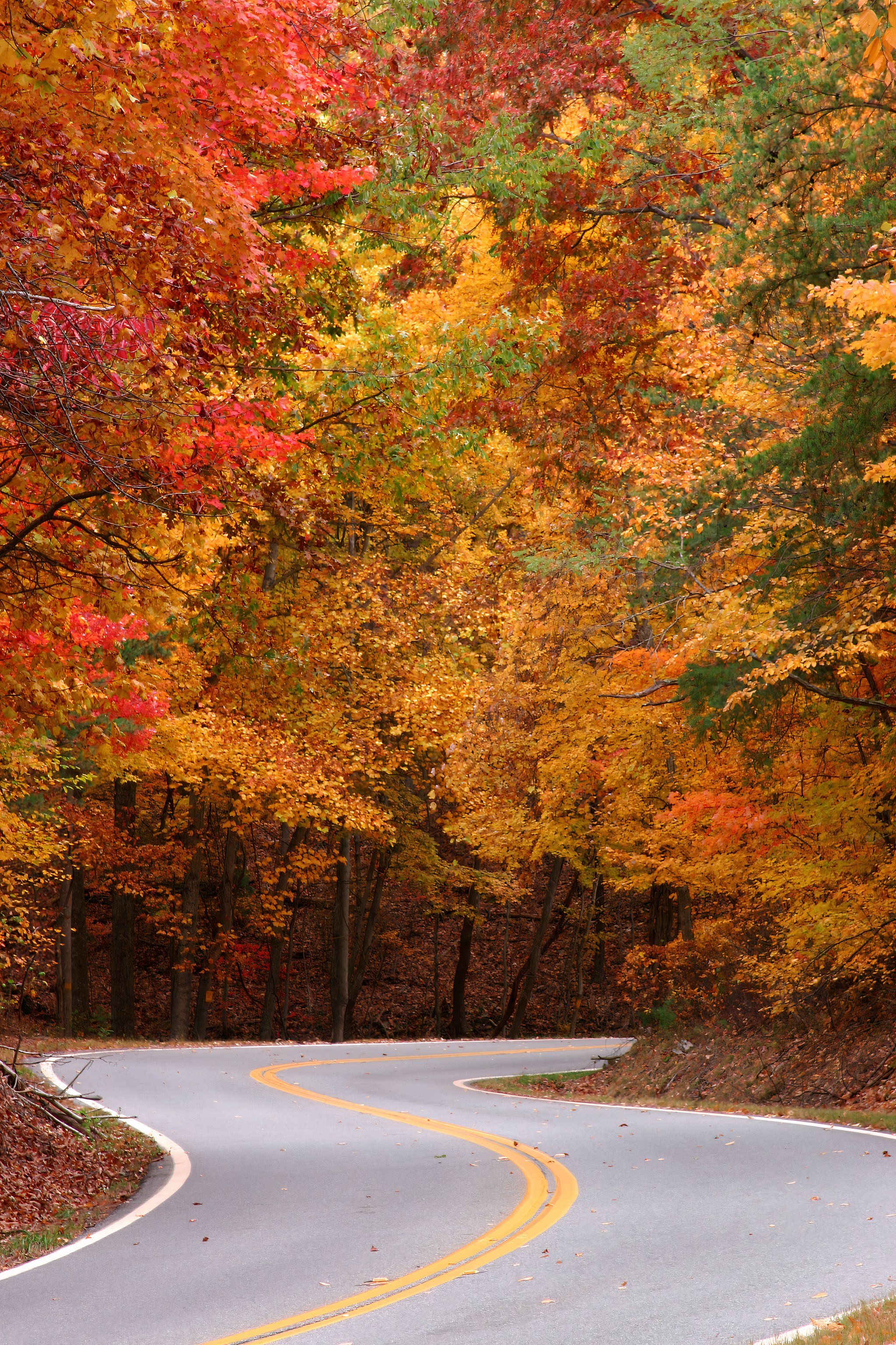 7 Small Towns To Experience True Fall In Georgia