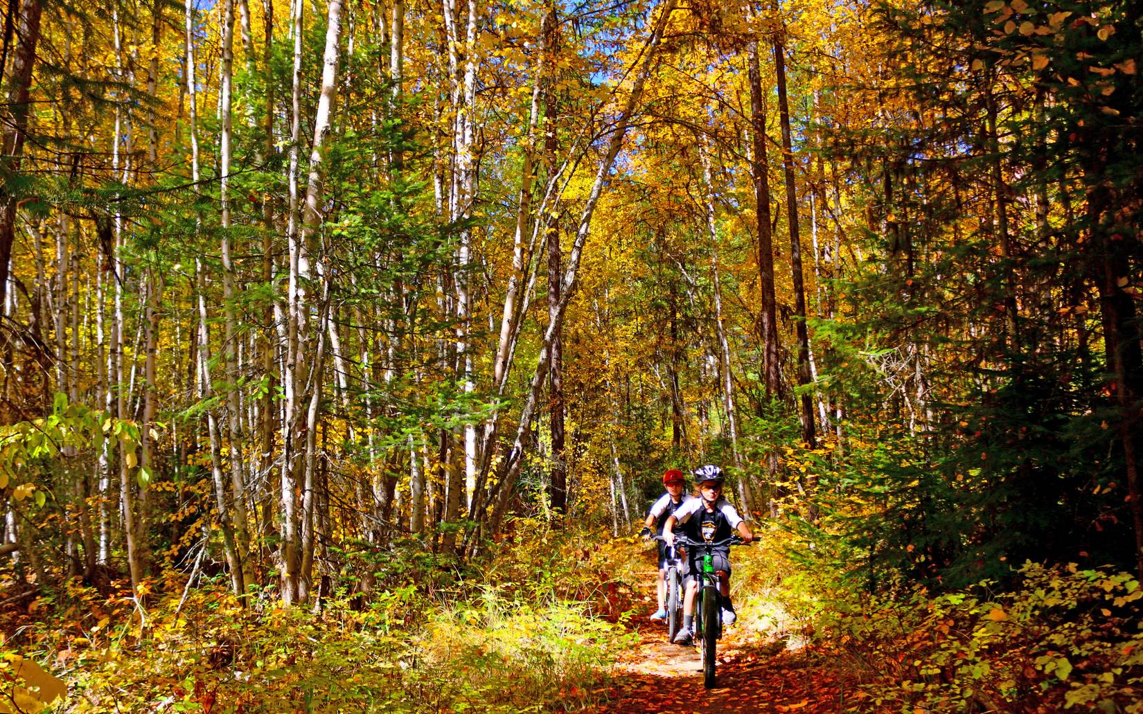 7 Best Fall Foliage Hikes In Montana In 2024