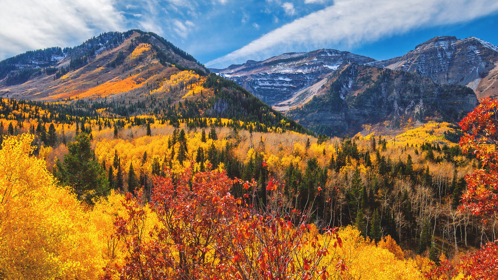 Senic Fall Is America's Most Scenic Fall Foliage In This Surprising State?