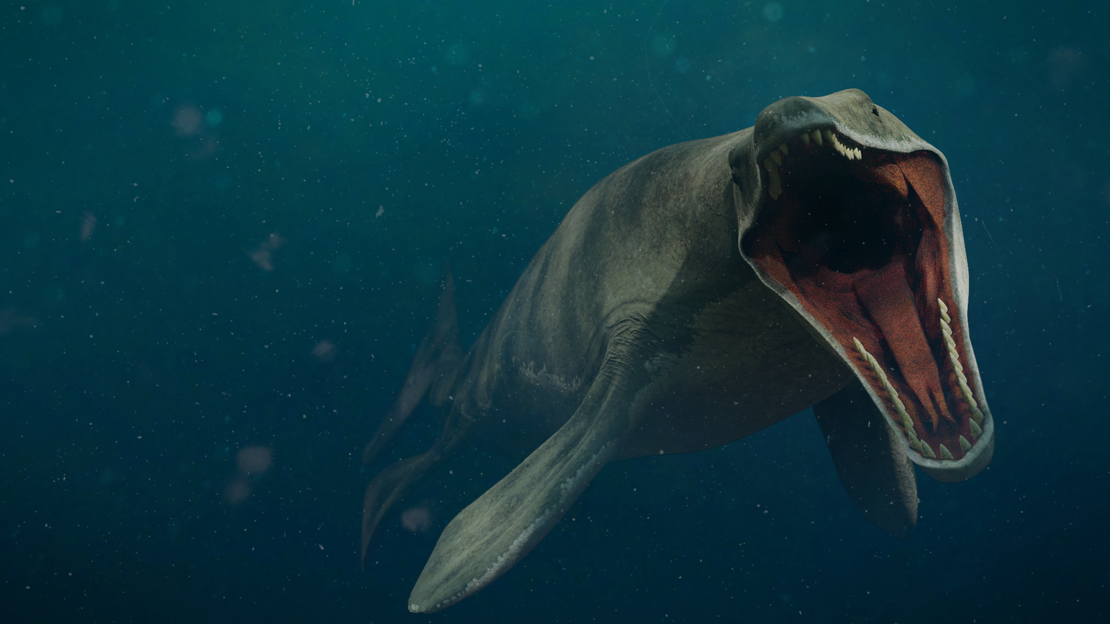 Rare 80 Million-Year-Old Fossils Of Giant Apex Predator Found In Texas