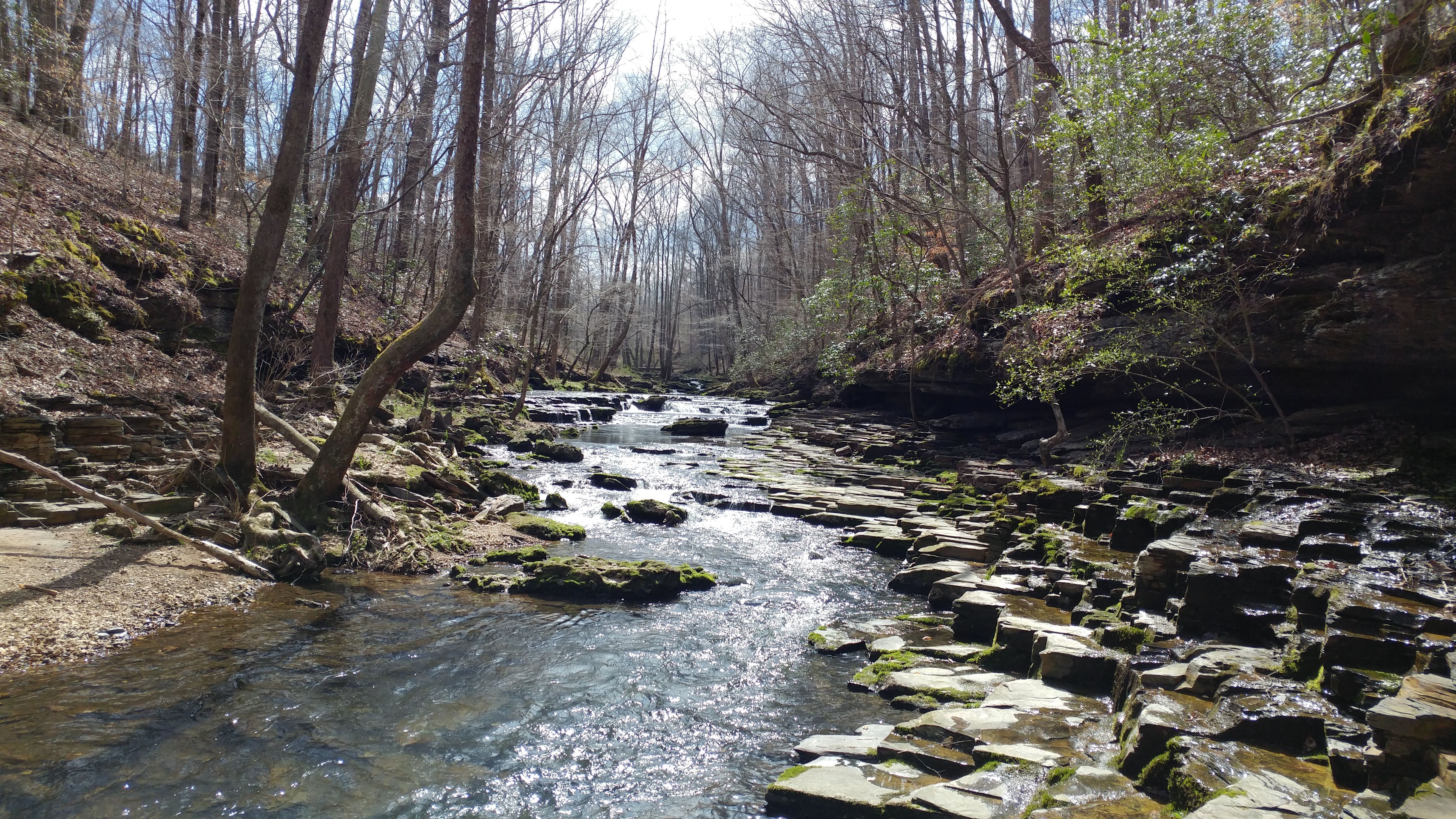 7 Hikes In Tennessee Better Than The Great Smokies
