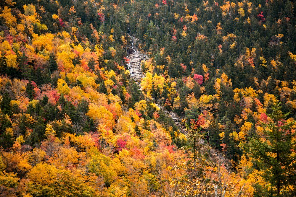 7 Best Fall Foliage Hikes In New Hampshire In 2024