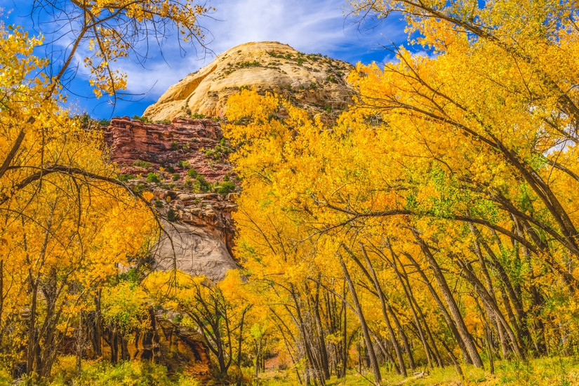 What To Know About Visiting Utah's National Parks In Fall