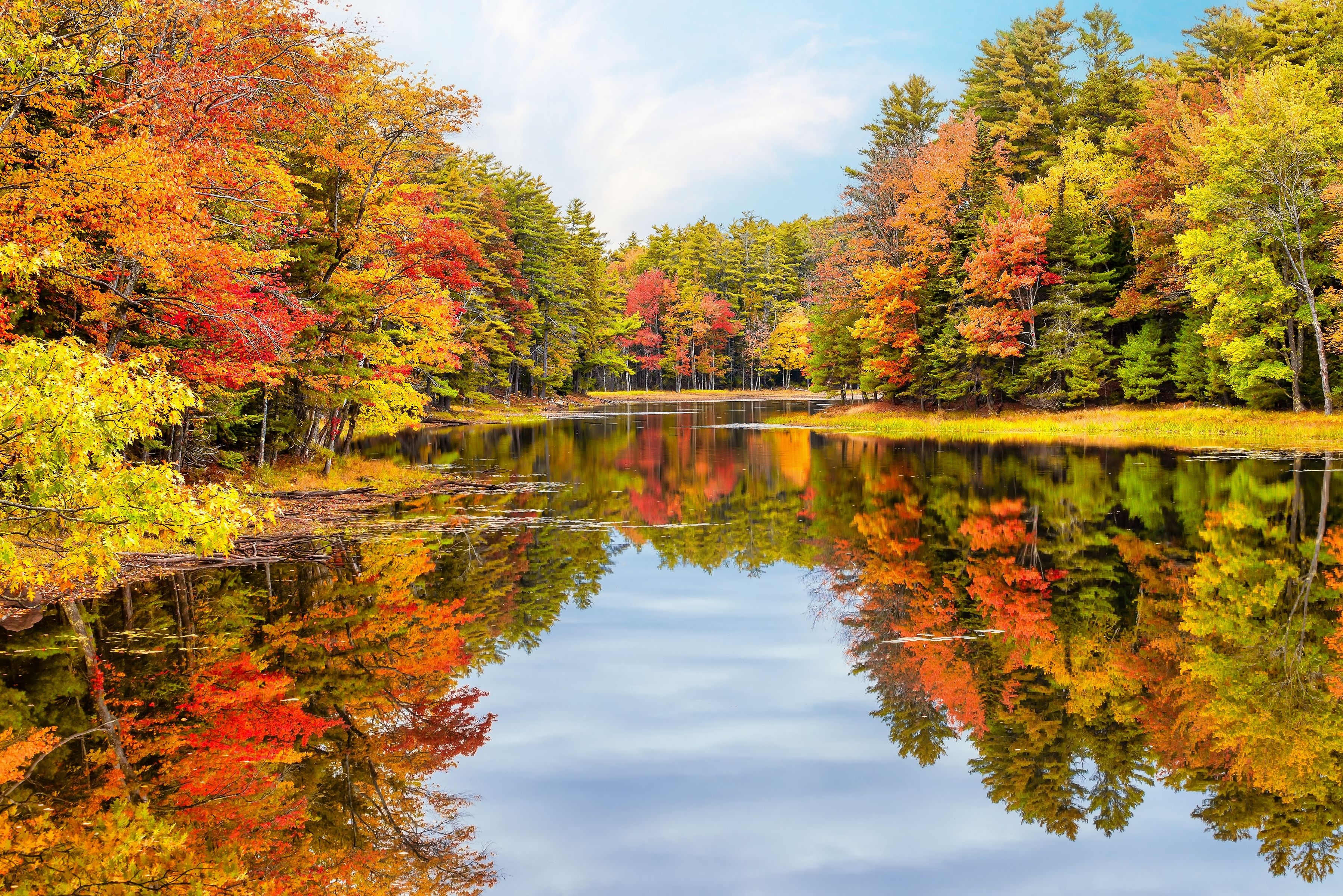 Looking For Fall Colors? Why Experts Say To Skip This Popular Area This ...