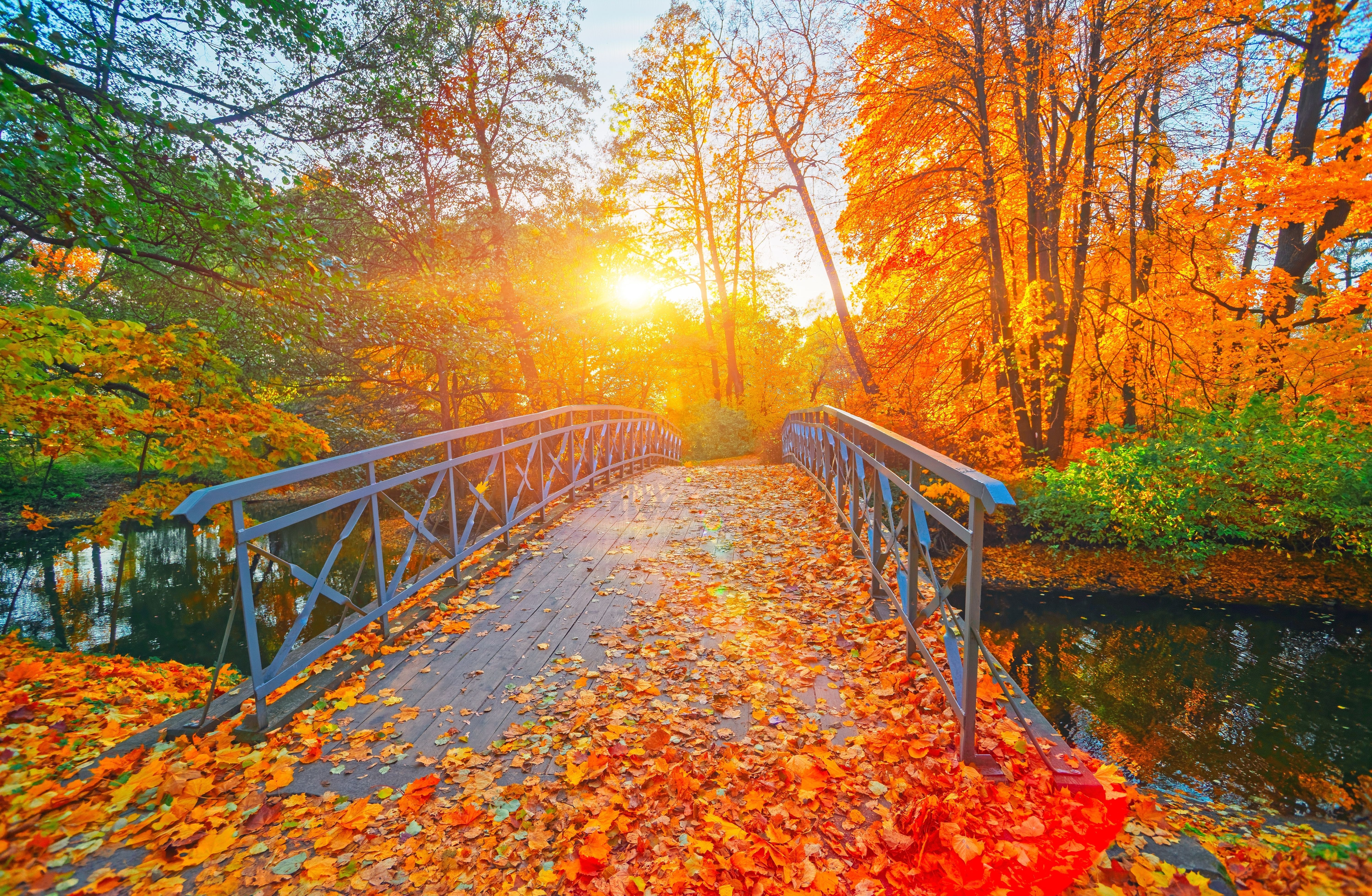 Looking For Fall Colors? Why Experts Say To Skip This Popular Area This ...