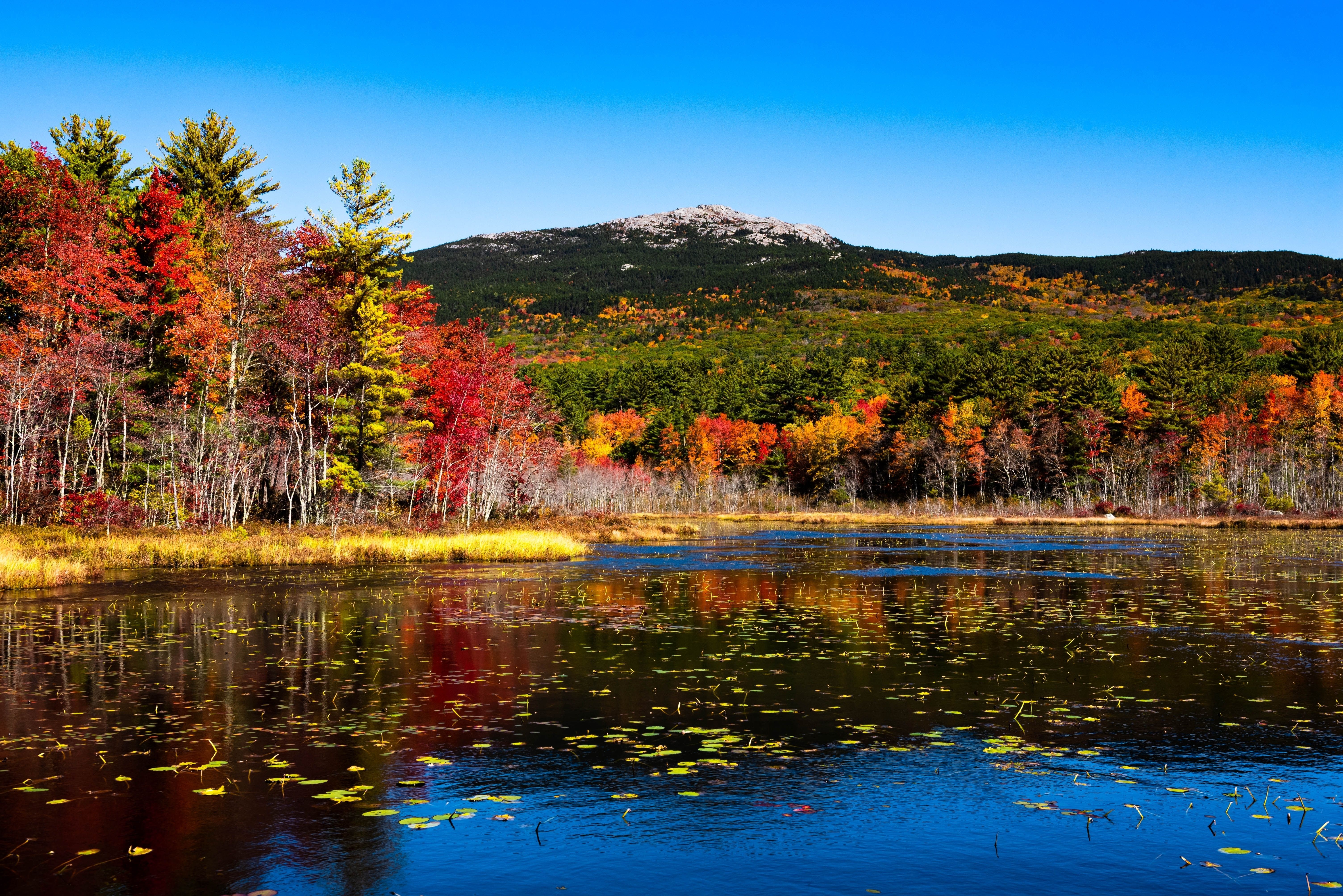 7 Best Fall Foliage Hikes In New Hampshire In 2024