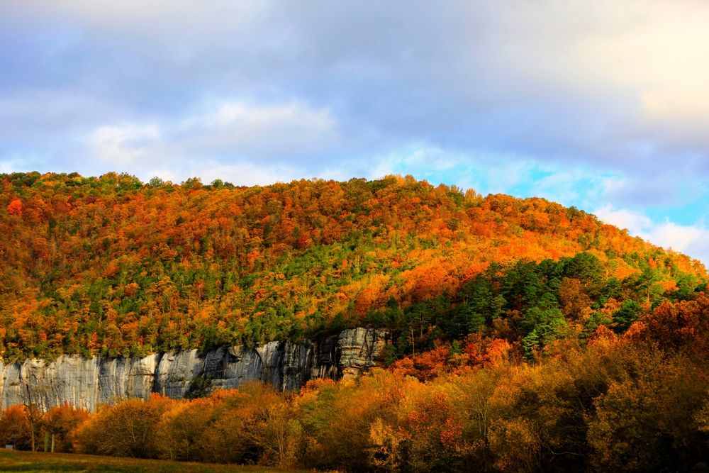 These Are The Best Fall Foliage Spots For 2024, Science Says