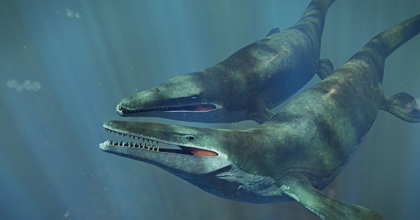 Rare 80 Million-Year-Old Fossils Of Giant Apex Predator Found In Texas