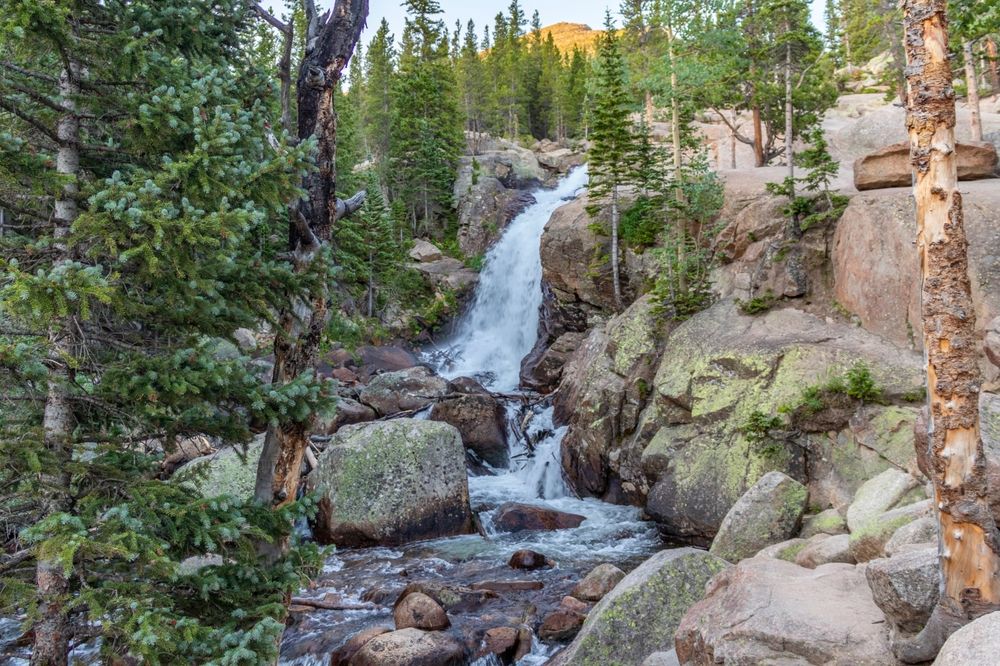 7 Fall Foliage Hikes To Take In Rocky Mountain National Park