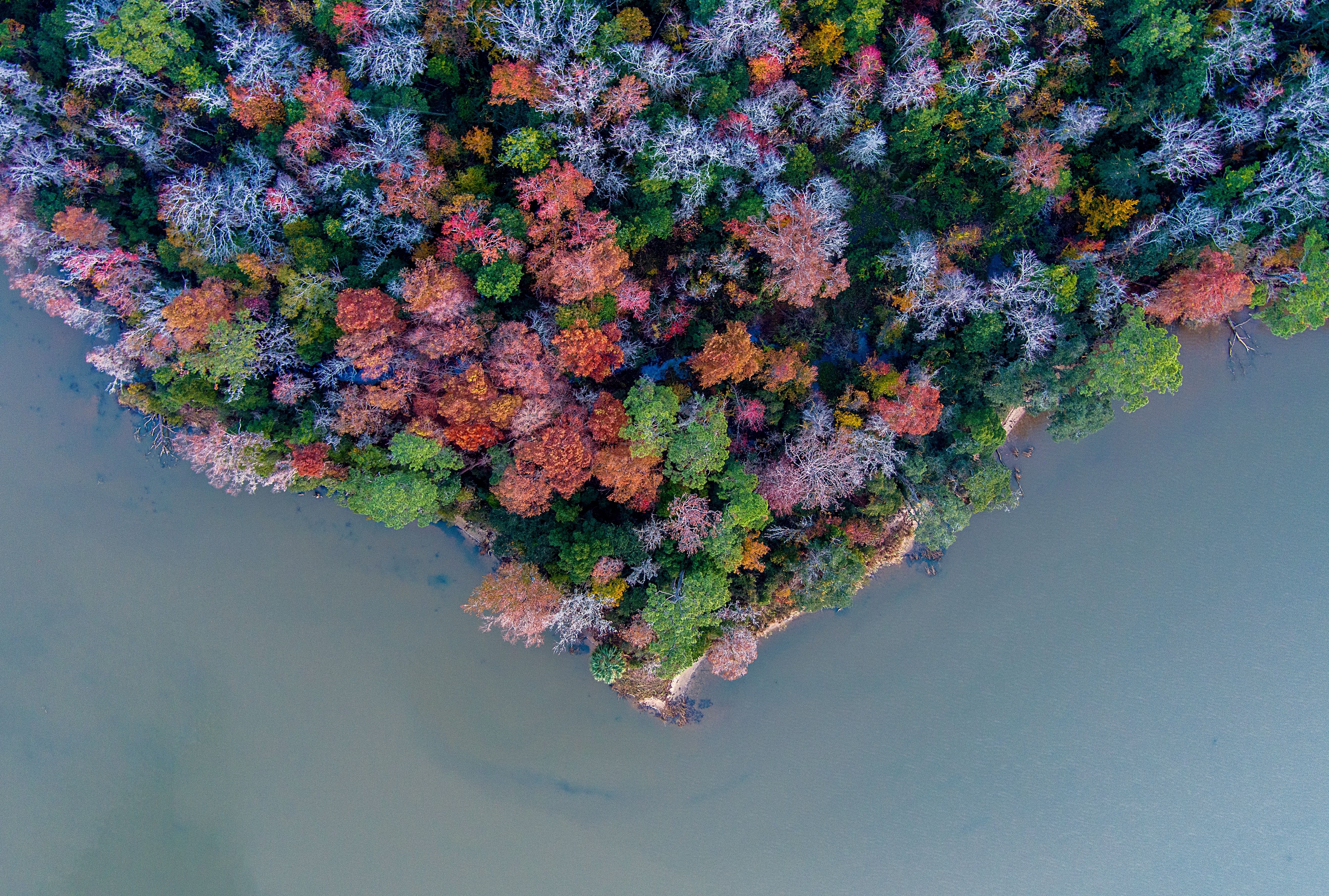7 Surprising Beach Towns That See Beautiful Fall Foliage