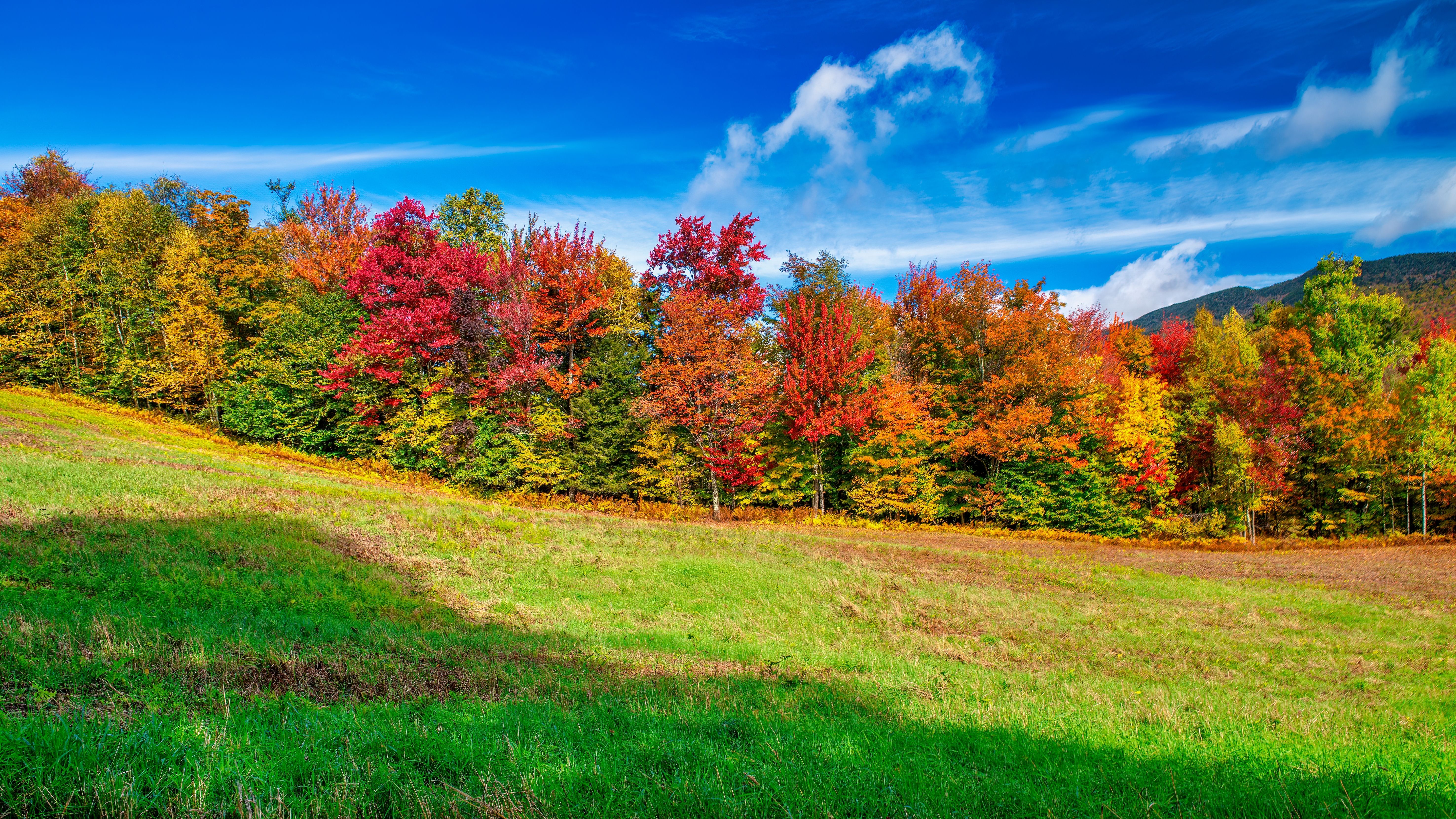 Looking For Fall Colors? Why Experts Say To Skip This Popular Area This ...