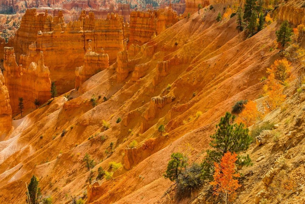 What To Know About Visiting Utah's National Parks In Fall