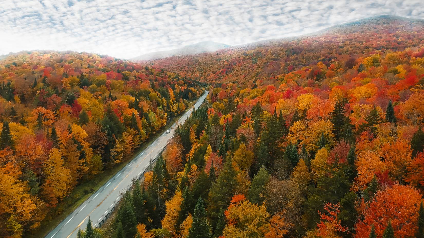 Fall foliage New England