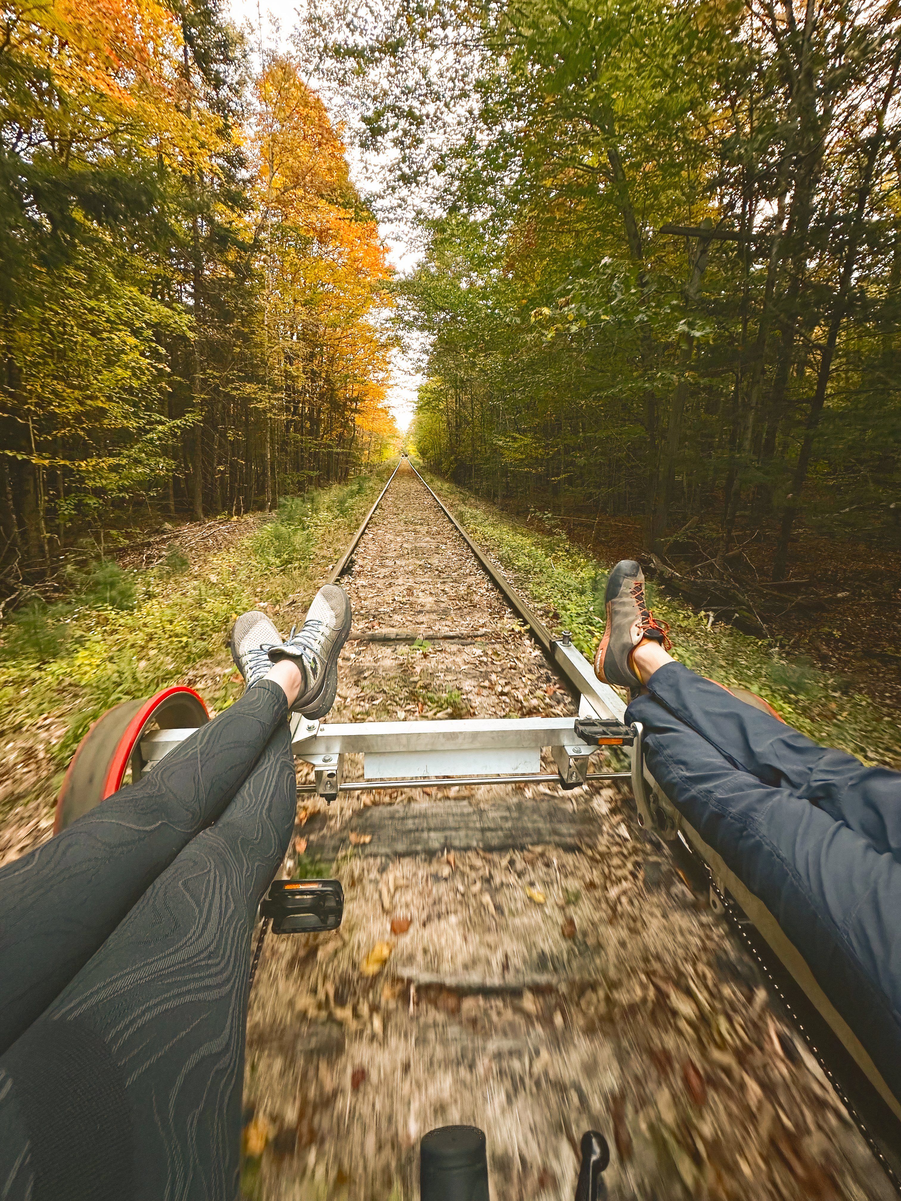 Skip Amtrak: This Is New York's Most Scenic Fall Train Ride In 2024