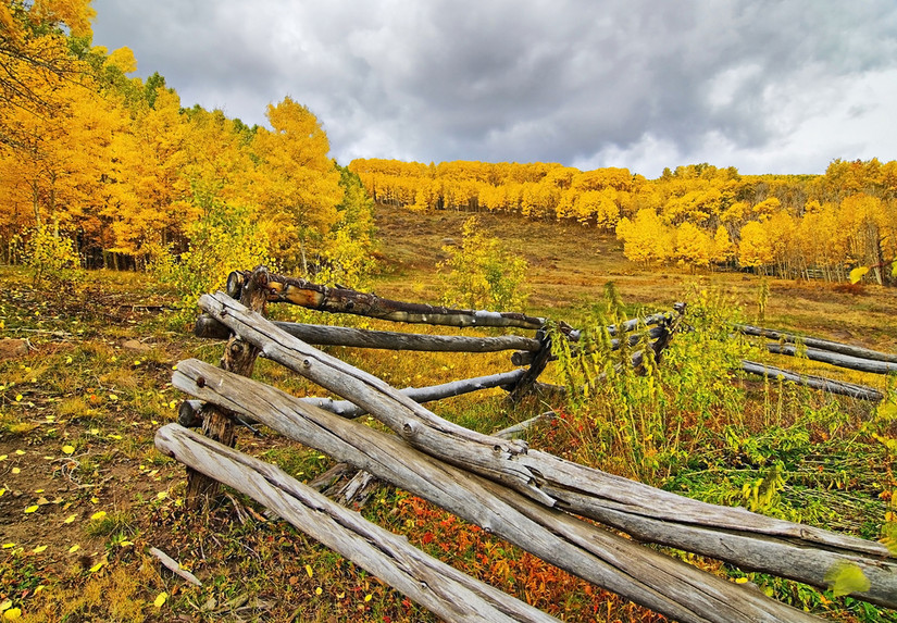 Is America's Most Scenic Fall Foliage In This Surprising State?