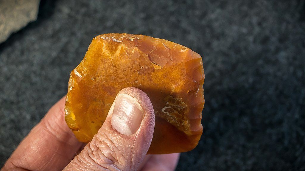 6 Most Recent Archaeological Discoveries Made In North America