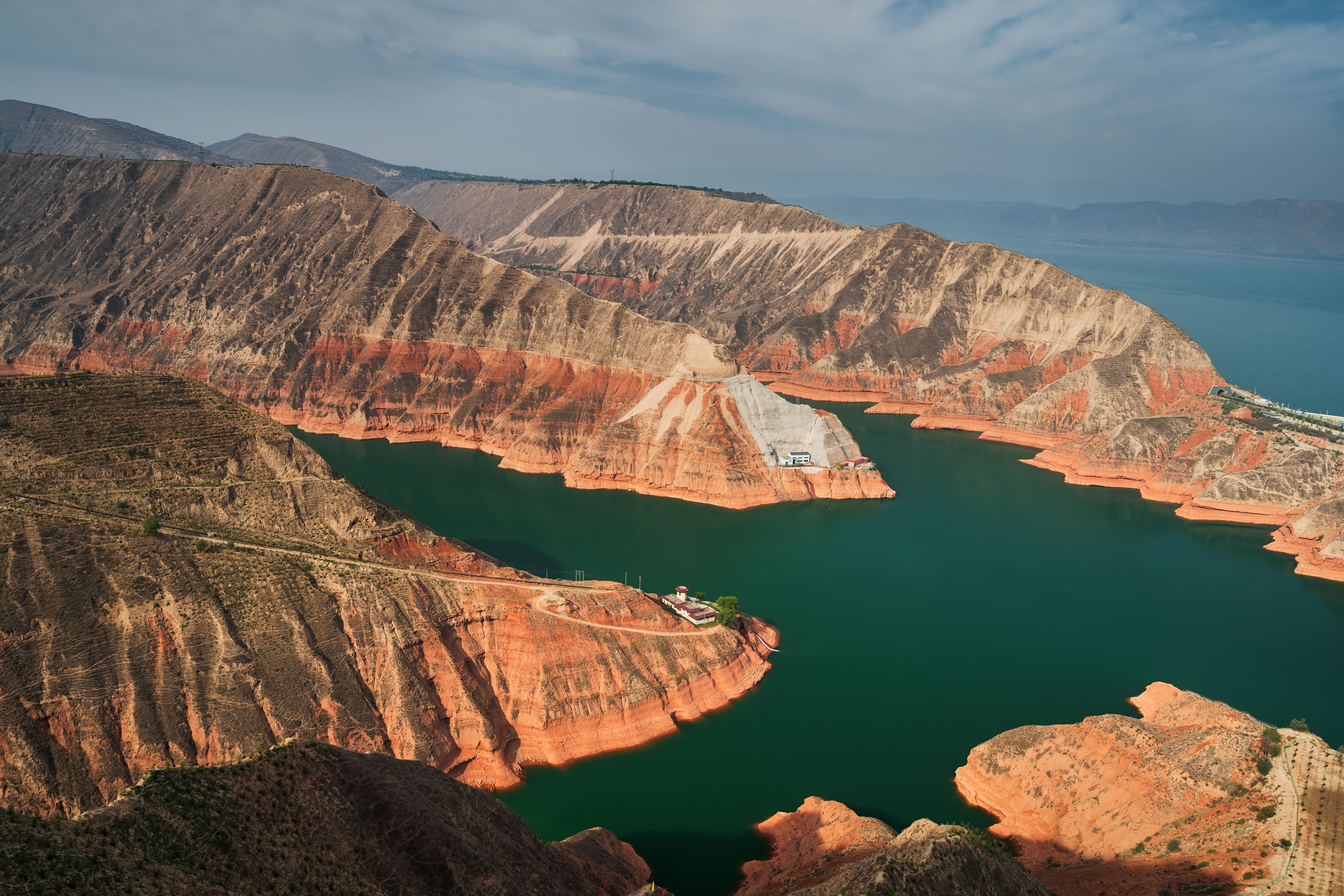 8 Fascinating Fossil Finds That Phased Experts